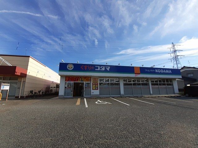 ドラックストア　ココカラファイン南出来島店（ドラッグストア）まで750m
