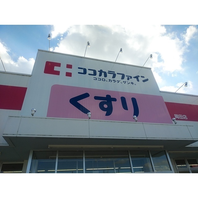 ドラックストア　ココカラファイン渋見店（ドラッグストア）まで217m