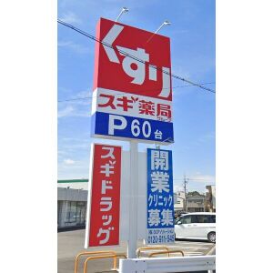 ドラックストア　スギ薬局中野橋店（ドラッグストア）まで800m