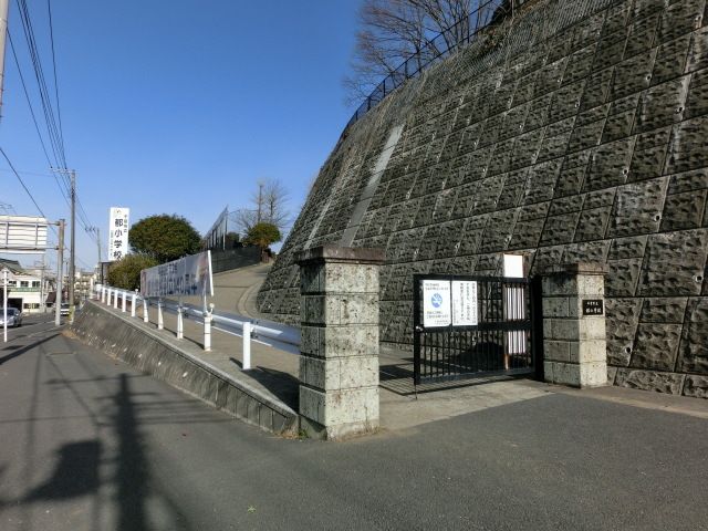 小学校　都小学校（小学校）まで775m