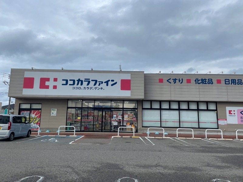 ドラックストア　ココカラファイン鳥屋野南店（ドラッグストア）まで1054m
