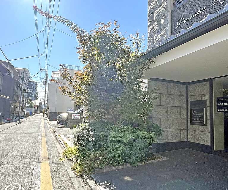 庭