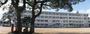 小学校　姫路市立白浜小学校（小学校）まで163m