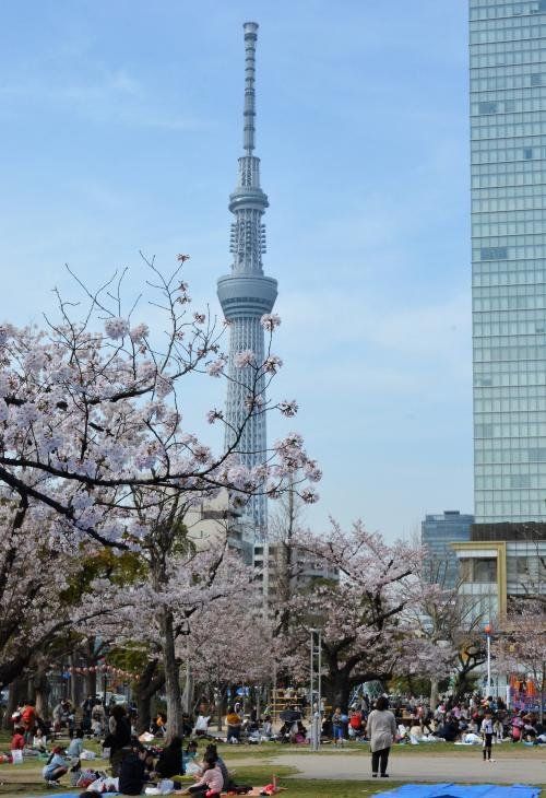 公園　錦糸公園（公園）まで440m