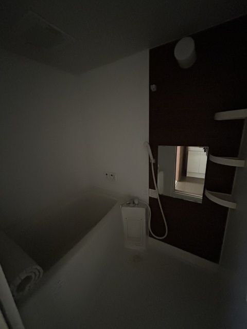 シティハイムイグサVIの風呂写真