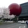 その他　日の丸自動車学校（その他）まで171m