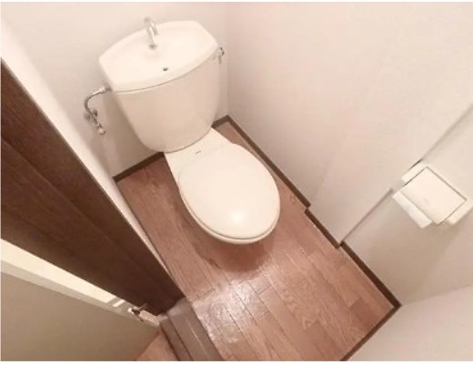 トイレ　トイレも気になるポイント