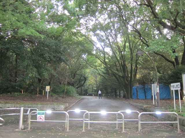 公園　都立光が丘公園　公園北口（公園）まで208m