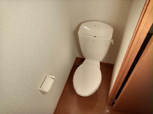 トイレ　備品や設備仕様は号室等により異なります。現地をご確認下さい。