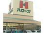 スーパー　ハローズ新涯店（スーパー）まで1094m