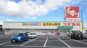 ドラックストア　スギ薬局毛受店（ドラッグストア）まで738m