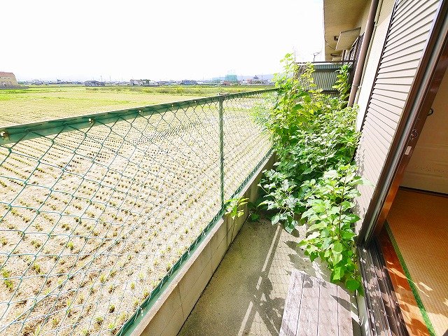 庭　たまにはお庭で休日を過ごしてみるのもよいかもしれません