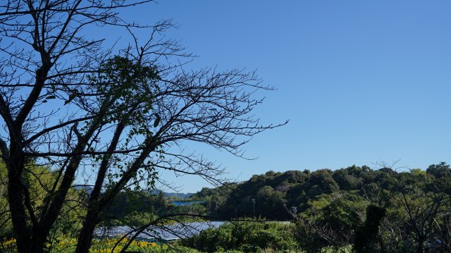 【シャンボール浜名湖のその他】