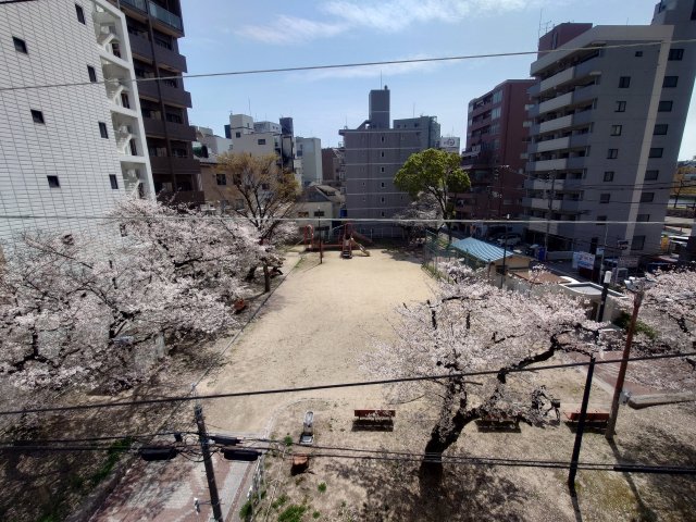眺望
