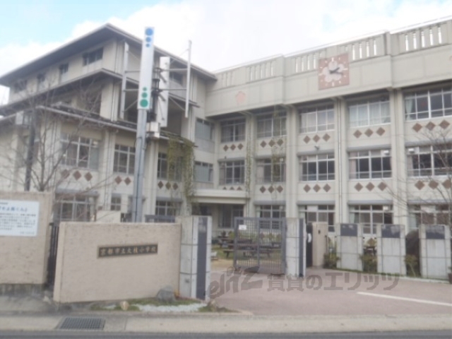 小学校　大枝小学校（小学校）まで670m