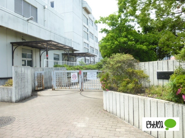小学校　小田原市立富士見小学校（小学校）まで384m