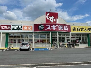 ドラックストア　スギ薬局南永井町店（ドラッグストア）まで1755m