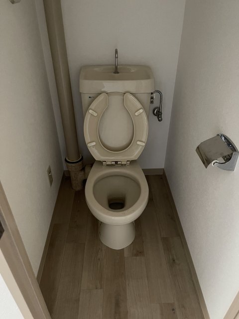 トイレ　写真は別号室です。