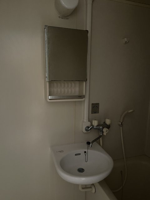 洗面設備　写真は別号室です。