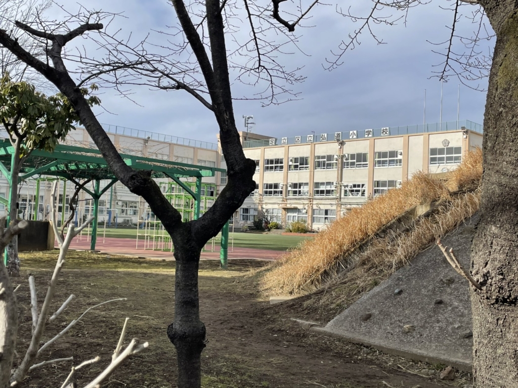 小学校　足立区立弘道小学校（小学校）まで539m