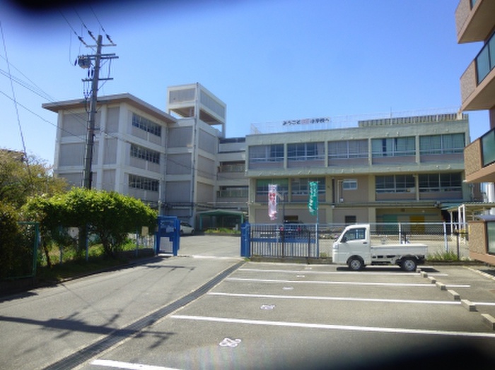 小学校　寝屋川市立桜小学校（小学校）まで174m