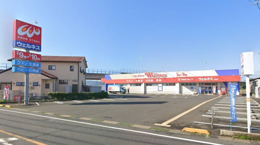 ドラックストア　ウェルネス桜谷店（ドラッグストア）まで1189m