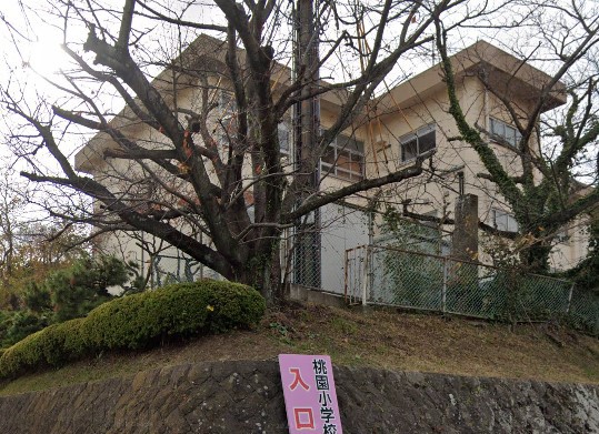 小学校　大分市立桃園小学校（小学校）まで3392m