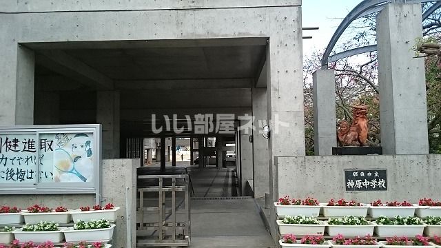 中学校　那覇市立神原中学校（中学校）まで600m