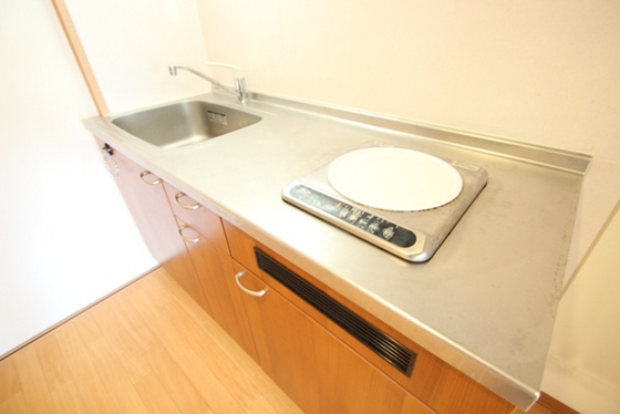 キッチン　※別号室の写真です。