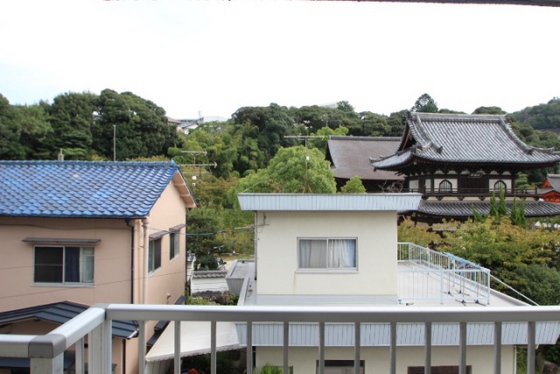 眺望　※別部屋の写真です