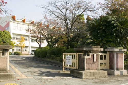 小学校　東海市立横須賀小学校（小学校）まで806m