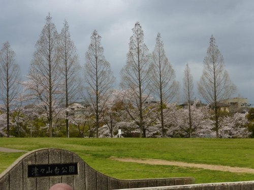 公園　津々山台公園（公園）まで3545m
