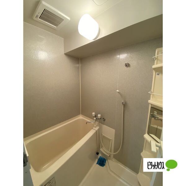 バス・シャワールーム　他号室の写真です。