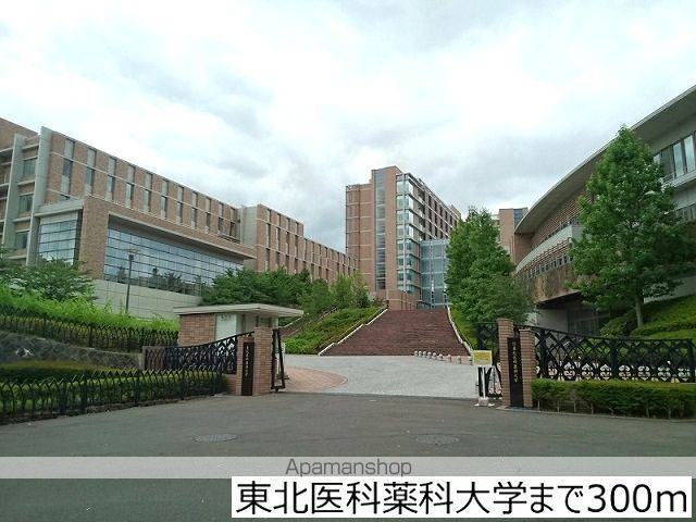 大学・短大　東北医科薬科大学（大学・短大）まで300m