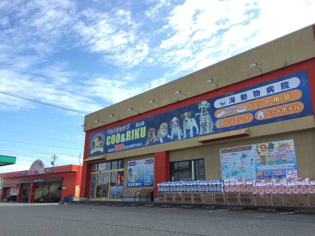 その他　ペットショップCoo&RIKU富山店（その他）まで615m