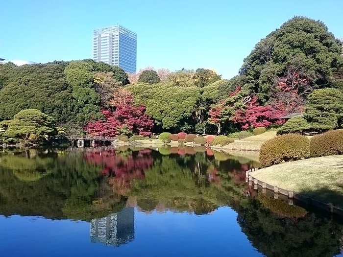 公園　新宿御苑（公園）まで631m