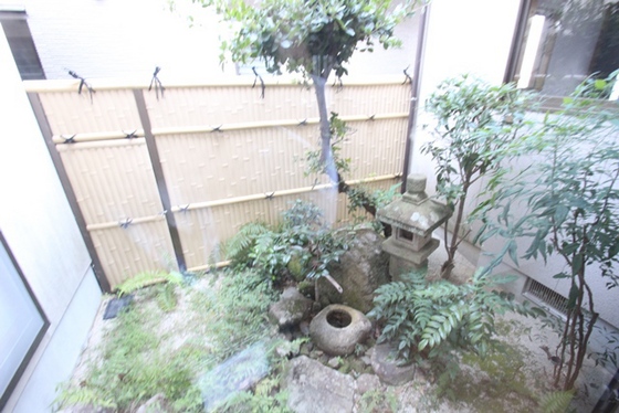 庭