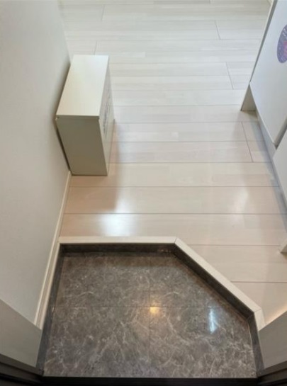 玄関　同仕様