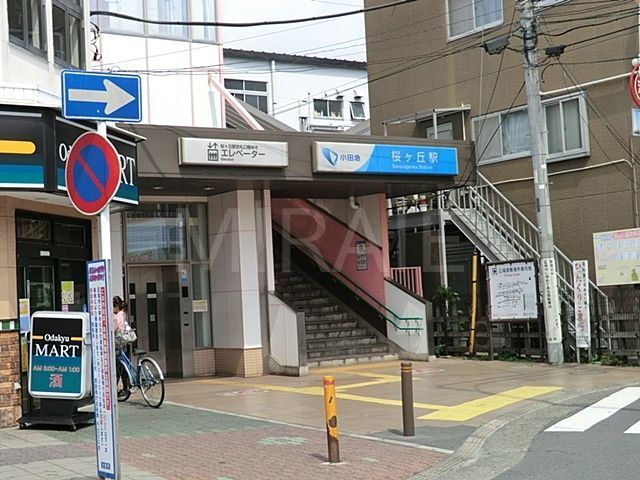 その他　桜ヶ丘駅(小田急 江ノ島線)（その他）まで80m