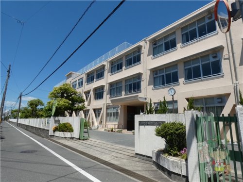 小学校　岡山市立御野小学校（小学校）まで1126m