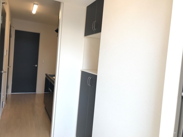 玄関　※同タイプの部屋写真です