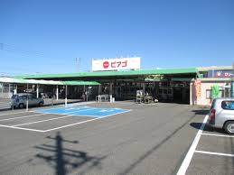 スーパー　ピアゴ 西春店（スーパー）まで1007m