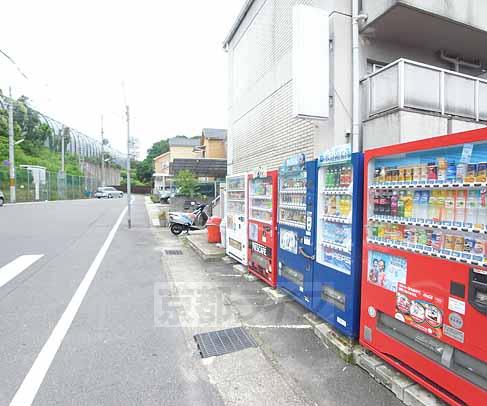 その他　入り口横の道路と自動販売機