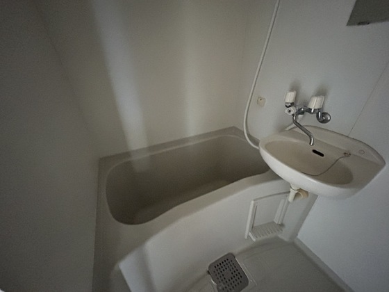 バス・シャワールーム　※別部屋の写真です