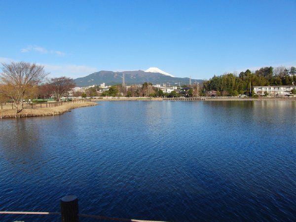 公園　門池公園（公園）まで710m
