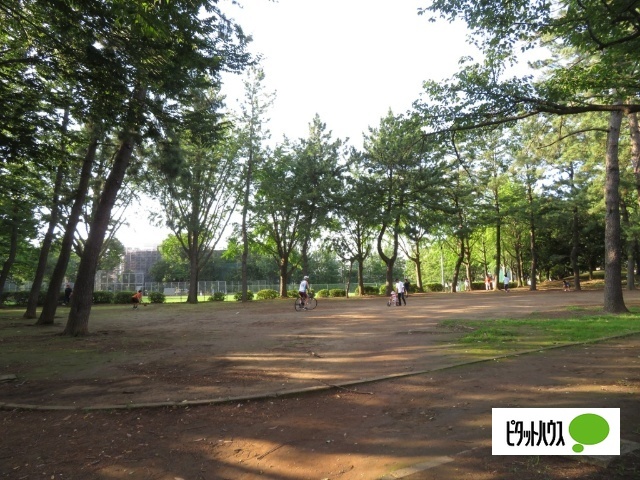 公園　一本松公園（公園）まで554m