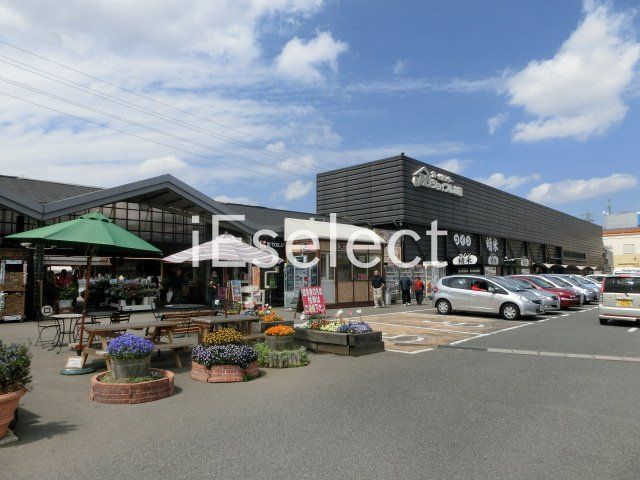 ホームセンター　ジョイフル本田千葉店（ホームセンター）まで2460m