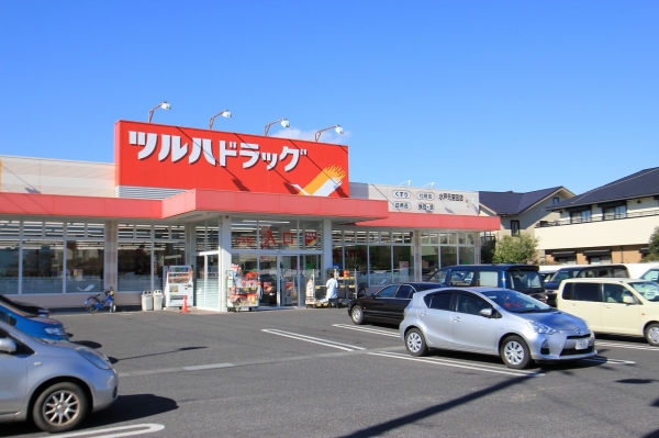 その他　ドラッグストア（その他）まで1600m