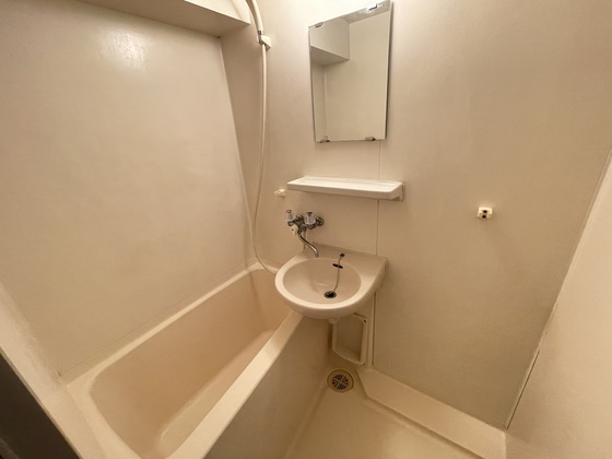 バス・シャワールーム　※別部屋の写真です