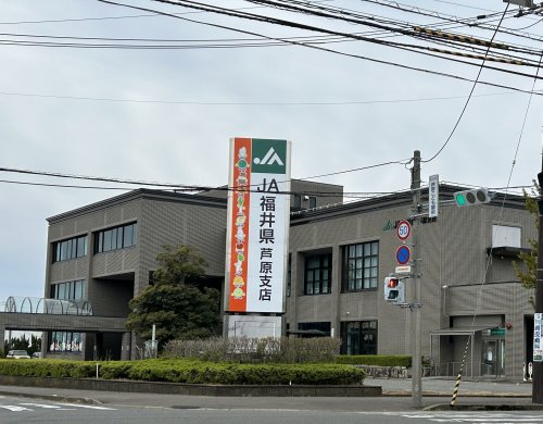 その他　JA芦原支店（その他）まで905m